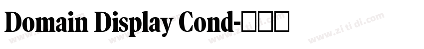 Domain Display Cond字体转换